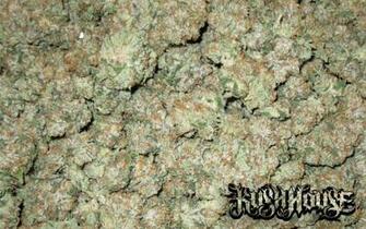 Kush Wallpaper