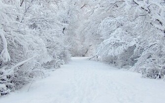 Games Wallpaper Nature 3d Online