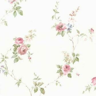 Flowers Wallpaper Cn24621 Norwall Discount Store