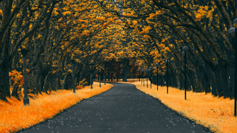 Paved Road Autumn 4k Wallpaper HD Nature