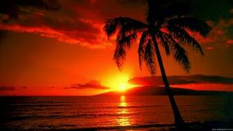 Wallpaper Hawaii Maldives Tahiti Islands Beach