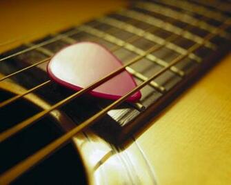 Breedlove Acoustic Guitar Wallpaper At Wallpaperbro
