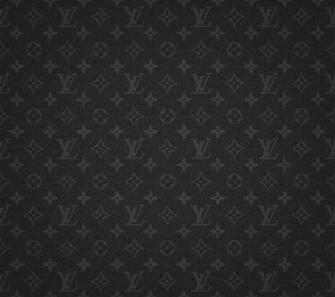 Louis Vuitton Monogram Infini