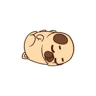 Best Image About Pugs That Move Posts
