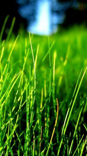 Screen Touch Wallpaper For