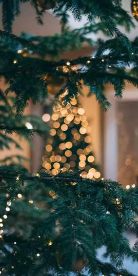 Usa Christmas Destinations Of The Best Holiday Getaways In