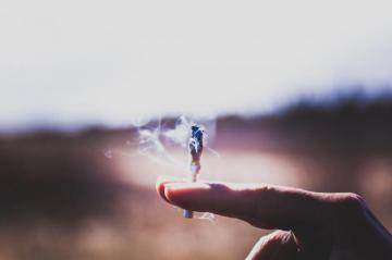 Weed Wallpaper Collection All HD