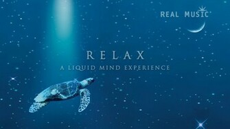 Here Are Real Music And Liquid Mind Wallpaper For Computer