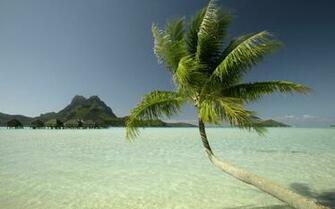 New Amazing Landscapes Wallpaper HD For Use In