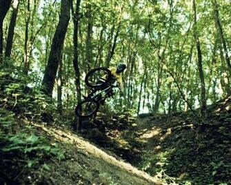 Wallpaper Forest Ukraine Extreme Sports