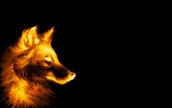 Cool Dog Desktop Wallpaper Top