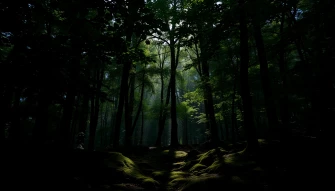Best Dark Green Wallpaper