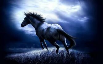 Wallpaper Wild Horse HD Wallpape