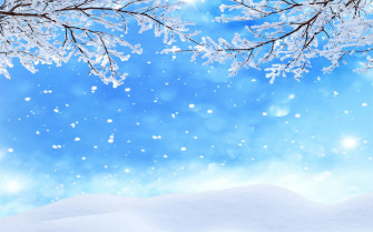 Snowflake Wallpaper