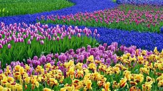 Spring Background For Computer Image