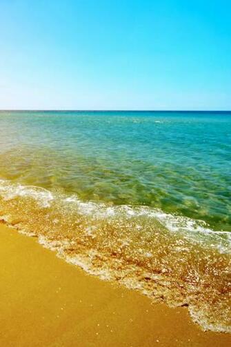Summer Beach iPhone Wallpaper HD