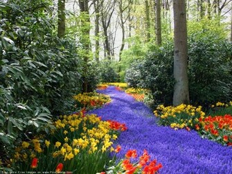Nature Springtime Desktop Wallpaper For Pc Mac