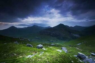 Scottish Highlander Wallpaper Highlands