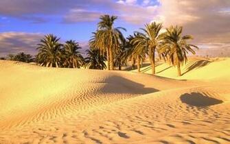 Most Beautiful Desert Wallpaper To Dotcave