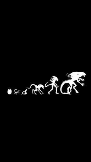This iPhone Wallpaper You Can Our