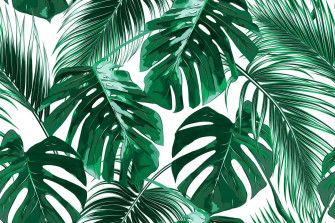 Tropical Leaves Desktop Wallpaper