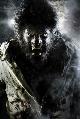 Wolfman HD Wallpaper Background