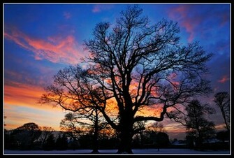 HD Wallpaper Desktop 1080p Winter Solstice Pictures