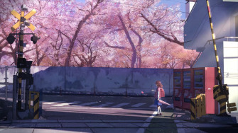 Centimeters Per Second Live Wallpaper Animated