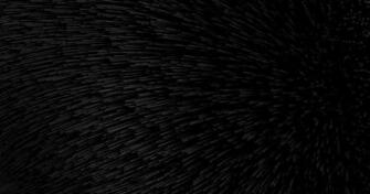 Black Series By Jean Marc Denis