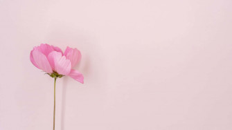 Aesthetic Computer Light Pink Wallpaper