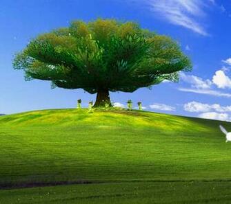 Link Bliss Windows Xp The Legend Of Zelda Microsoft