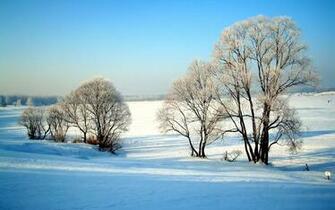 Winter Snow Scenes Wallpaper At Wallpaperbro