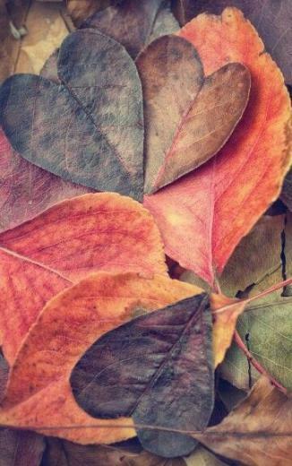 iPhone Wallpaper Fondos De Pantalla Whatsapp
