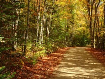Wallpaper Autumn Scenes Nature