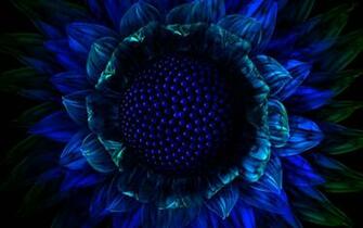 Exotic Flower Wallpaper And Image Pictures
