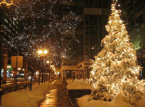 Christmas Wonderland
