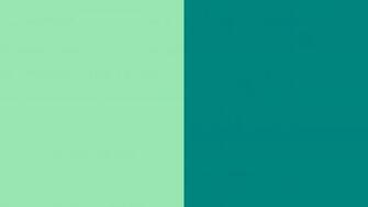 Solid Teal Background Deer And