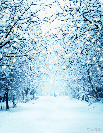 Winter Snowy Lane With Lights Photography Backdrop Sbh0299