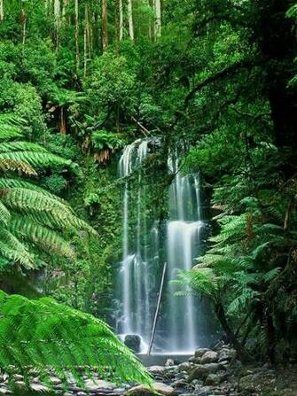 Beauchamp Falls Victoria Australia iPad iPhone HD Wallpaper