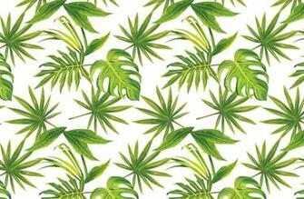 Tropical Leaves Print Wallpaper