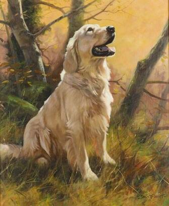 Golden Retriever Background