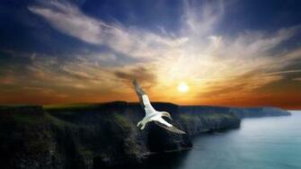 Wing Flight HD Wallpaper