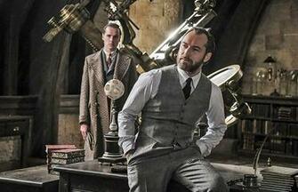 Yes Dumbledore Is Still Gay No Fantastic Beasts