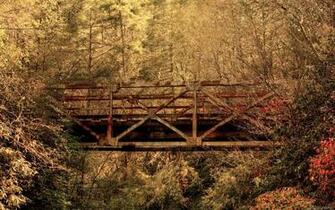 Autumn Wallpaper Nature