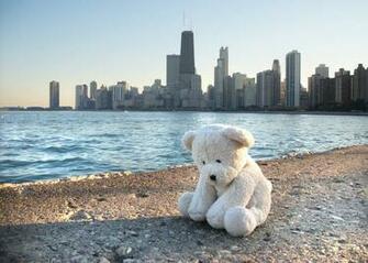 Bear Lakefront By Kilroyart In High Quality Wallpaper