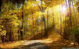 Desktop Wallpaper Fall Season In HD