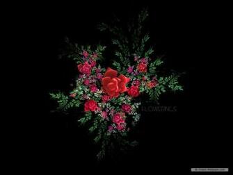 Flower Wallpaper Creative Fractal Art
