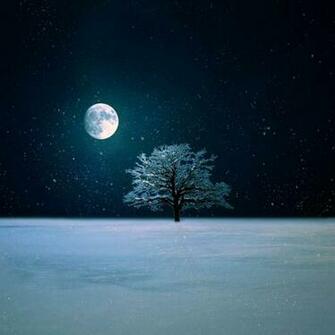 Winter Night Live Wallpaper By Baxiaart