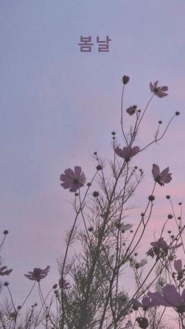 Korean Aesthetic Wallpaper Top