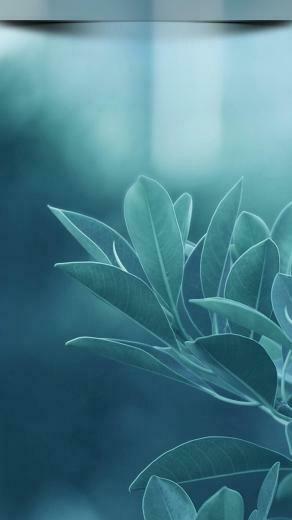 Full HD Wallpaper For Mobile Phones With The Status Bar Shadow